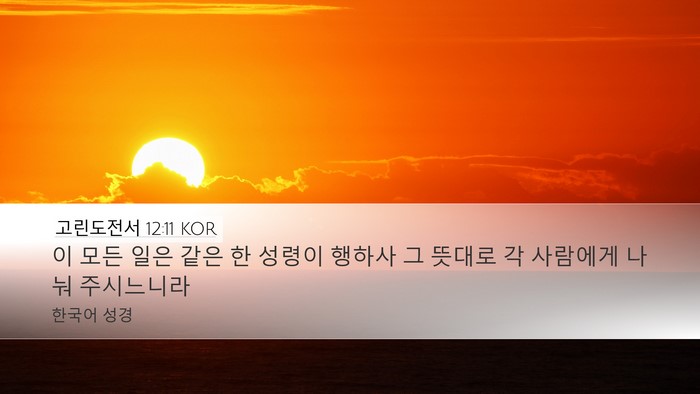 고린도전서 12:11 KOR Bible Verse Image