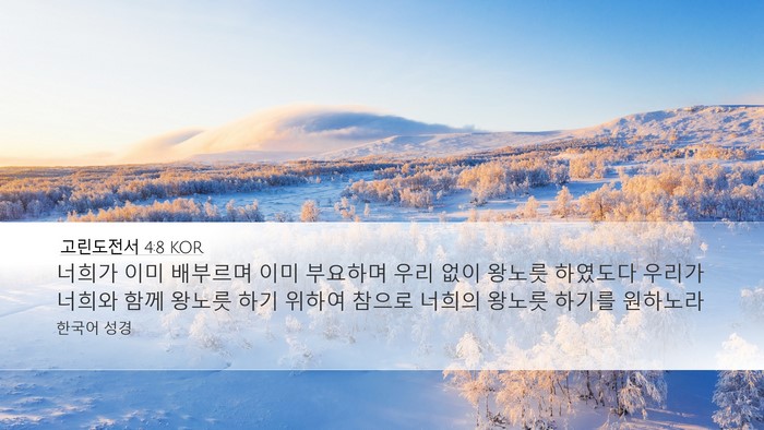 고린도전서 4:8 KOR Bible Verse Image