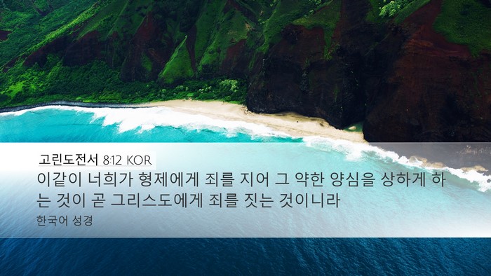 고린도전서 8:12 KOR Bible Verse Image