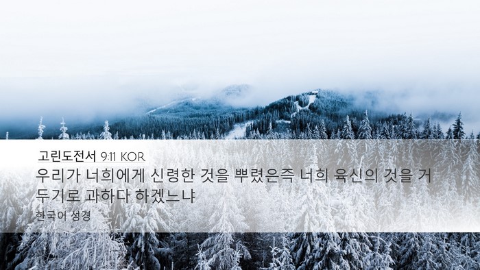 고린도전서 9:11 KOR Bible Verse Image