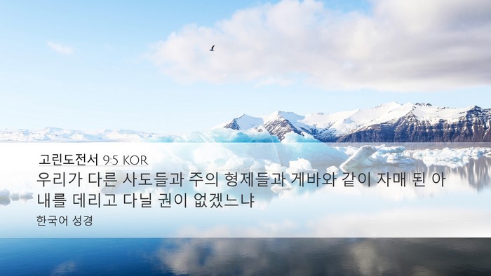 고린도전서 9:5 KOR Bible Verse Image