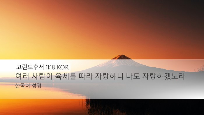 고린도후서 11:18 KOR Bible Verse Image