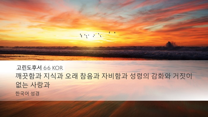 고린도후서 6:6 KOR Bible Verse Image