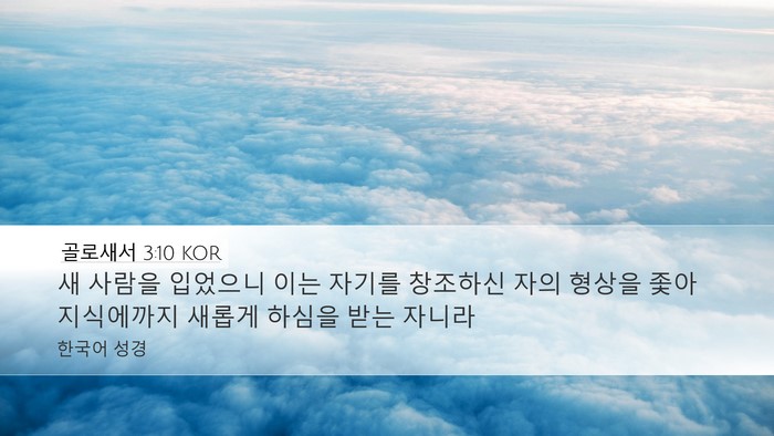 골로새서 3:10 KOR Bible Verse Image