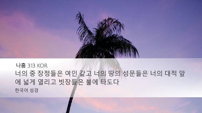 나훔 3:13 KOR Bible Verse Image