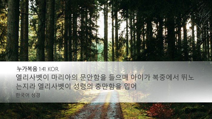누가복음 1:41 KOR Bible Verse Image
