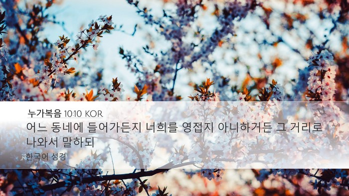 누가복음 10:10 KOR Bible Verse Image
