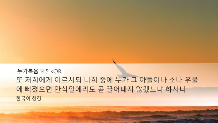 누가복음 14:5 KOR Bible Verse Image