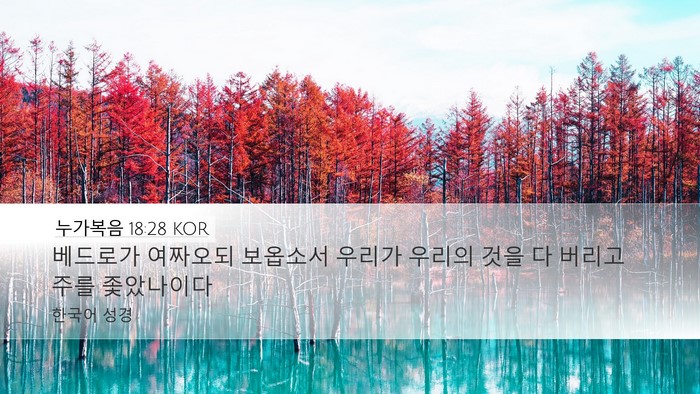 누가복음 18:28 KOR Bible Verse Image