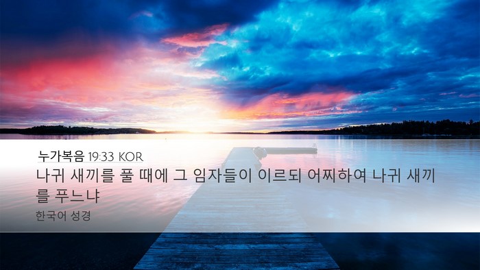 누가복음 19:33 KOR Desktop Wallpaper - 나귀 새끼를 풀 때에 그 임자들이 - Desktop Bible Verse Wallpaper