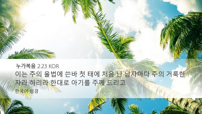 누가복음 2:23 KOR Bible Verse Image