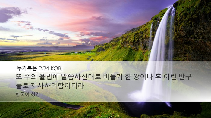 누가복음 2:24 KOR Bible Verse Image