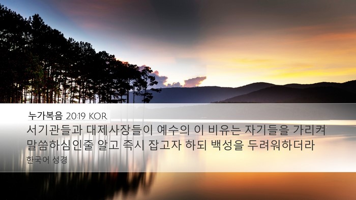 누가복음 20:19 KOR Bible Verse Image