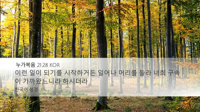 누가복음 21:28 KOR Bible Verse Image