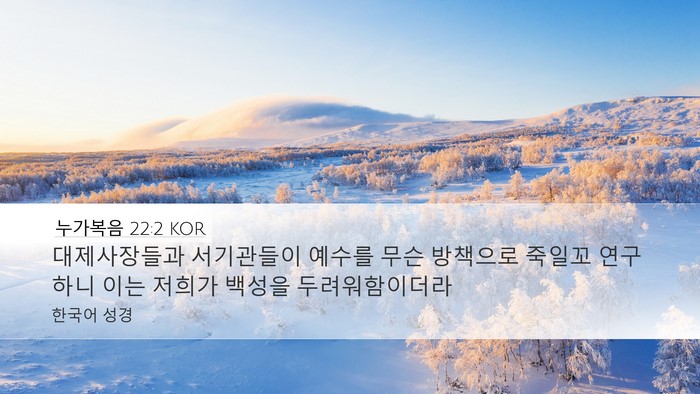 누가복음 22:2 KOR Desktop Wallpaper - 대제사장들과 서기관들이 예수를 - Desktop Bible Verse Wallpaper