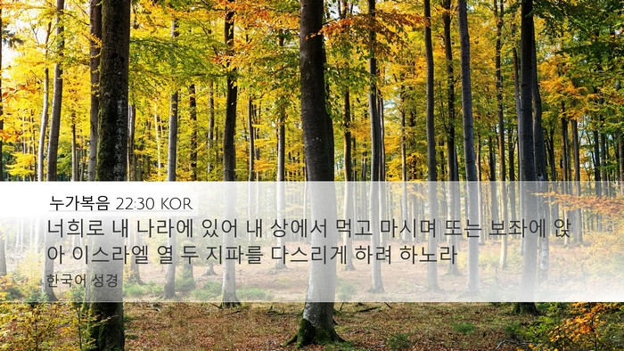 누가복음 22:30 KOR Bible Verse Image