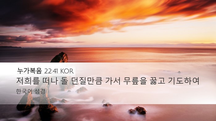누가복음 22:41 KOR Desktop Wallpaper - 저희를 떠나 돌 던질만큼 가서 - Desktop Bible Verse Wallpaper