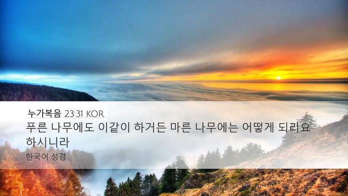 누가복음 23:31 KOR Bible Verse Image
