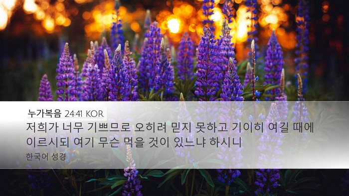 누가복음 24:41 KOR Bible Verse Image