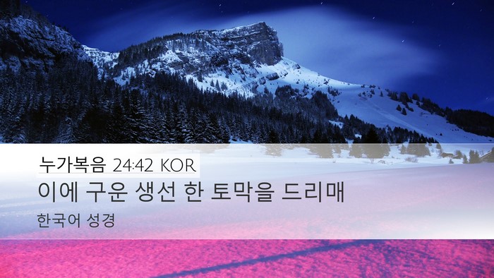 누가복음 24:42 KOR Bible Verse Image