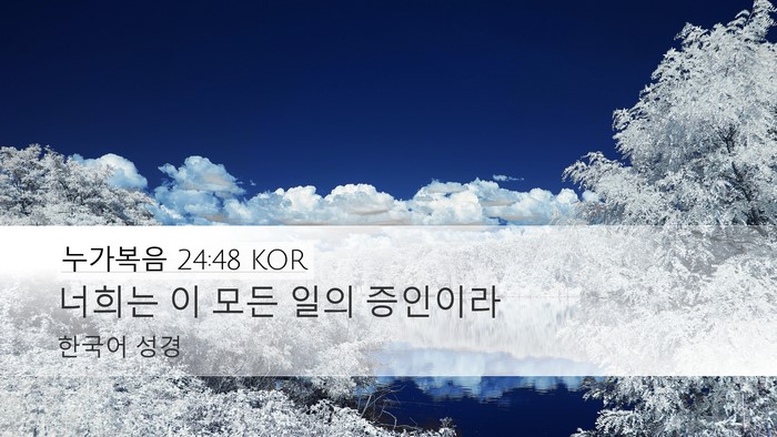 누가복음 24:48 KOR Bible Verse Image