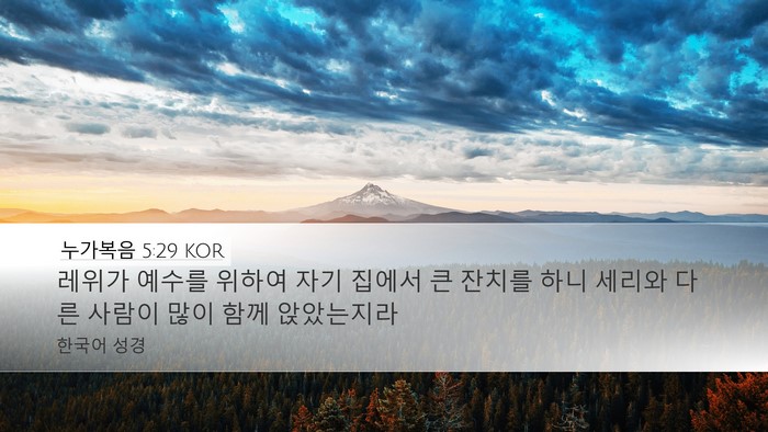 누가복음 5:29 KOR Bible Verse Image