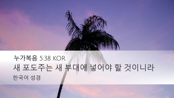 누가복음 5:38 KOR Desktop Wallpaper - 새 포도주는 새 부대에 넣어야 할 - Desktop Bible Verse Wallpaper