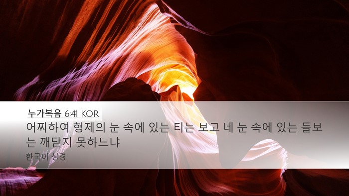 누가복음 6:41 KOR Bible Verse Image