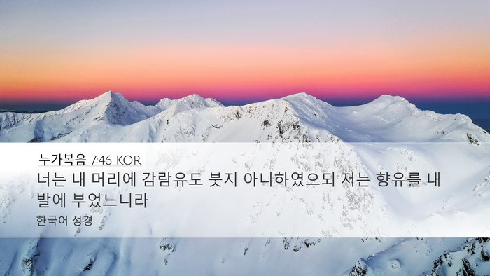 누가복음 7:46 KOR Bible Verse Image