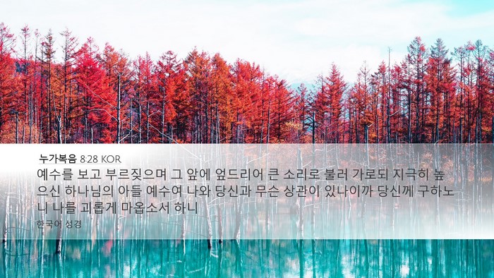누가복음 8:28 KOR Bible Verse Image