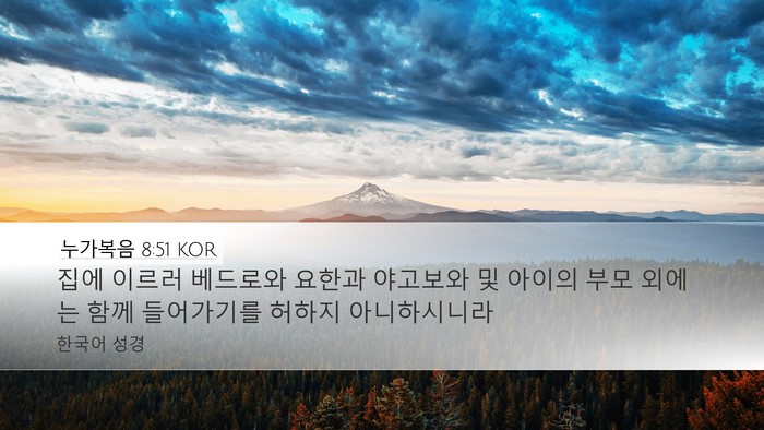 누가복음 8:51 KOR Bible Verse Image