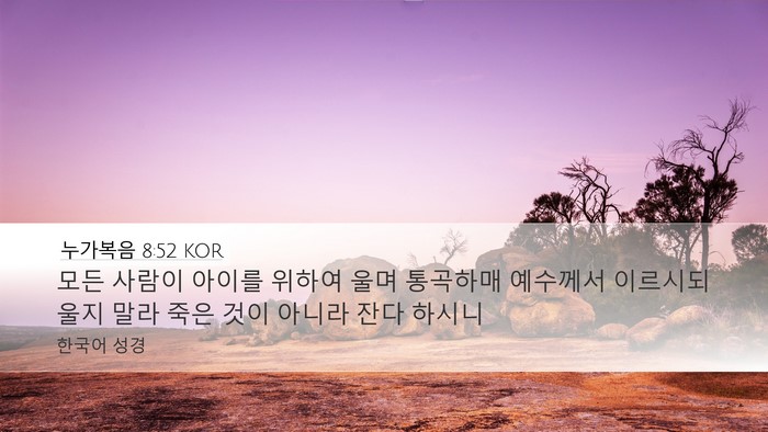 누가복음 8:52 KOR Desktop Wallpaper - 모든 사람이 아이를 위하여 울며 - Desktop Bible Verse Wallpaper