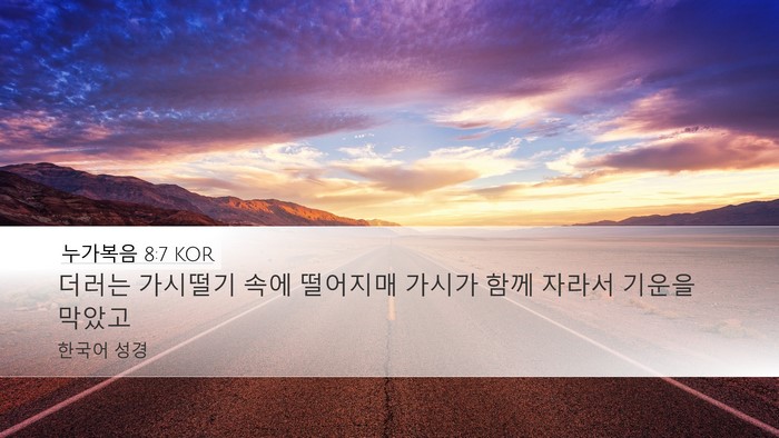누가복음 8:7 KOR Desktop Wallpaper - 더러는 가시떨기 속에 떨어지매 - Desktop Bible Verse Wallpaper