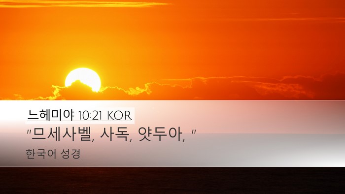 느헤미야 10:21 KOR Desktop Wallpaper - 