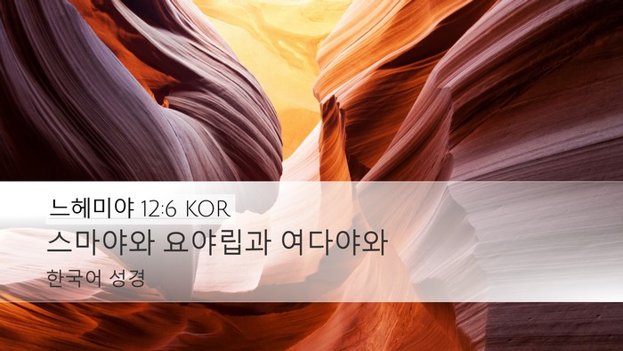 느헤미야 12:6 KOR Bible Verse Image