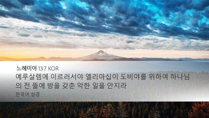 느헤미야 13:7 KOR Desktop Wallpaper - 예루살렘에 이르러서야 엘리아십이 - Desktop Bible Verse Wallpaper