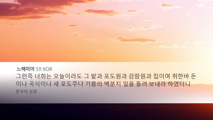느헤미야 5:11 KOR Desktop Wallpaper - 그런즉 너희는 오늘이라도 그 밭과 - Desktop Bible Verse Wallpaper