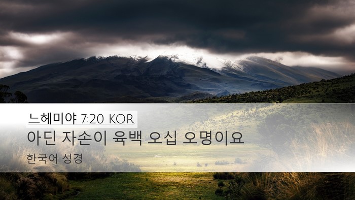 느헤미야 7:20 KOR Desktop Wallpaper - 아딘 자손이 육백 오십 - Desktop Bible Verse Wallpaper