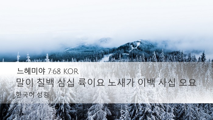 느헤미야 7:68 KOR Desktop Wallpaper - 말이 칠백 삼십 륙이요 노새가 이백 - Desktop Bible Verse Wallpaper