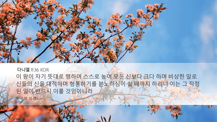 다니엘 11:36 KOR Desktop Wallpaper - 이 왕이 자기 뜻대로 행하며 스스로 - Desktop Bible Verse Wallpaper