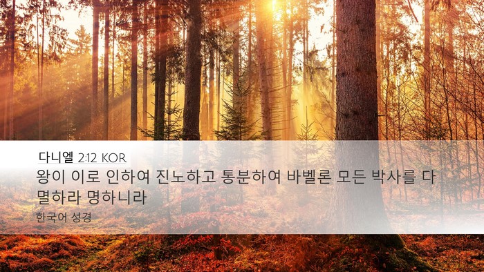 다니엘 2:12 KOR Bible Verse Image