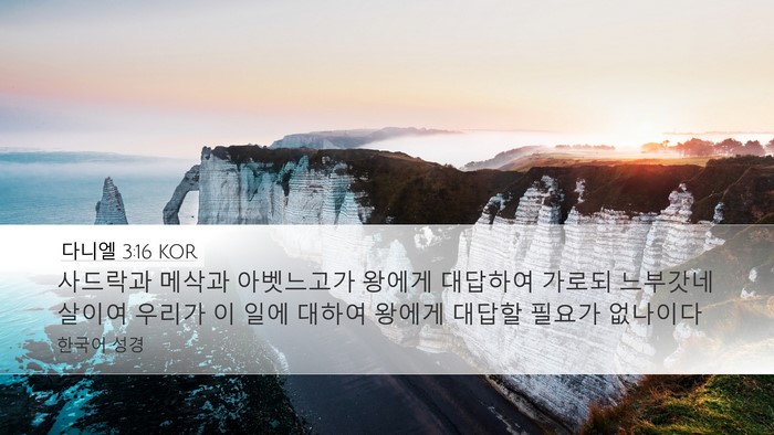 다니엘 3:16 KOR Bible Verse Image