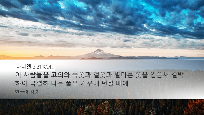 다니엘 3:21 KOR Bible Verse Image