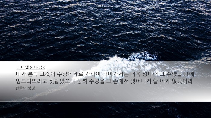 다니엘 8:7 KOR Bible Verse Image