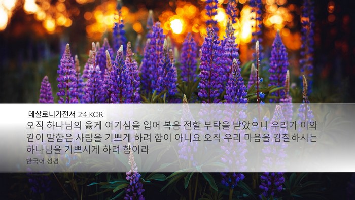 데살로니가전서 2:4 KOR Bible Verse Image