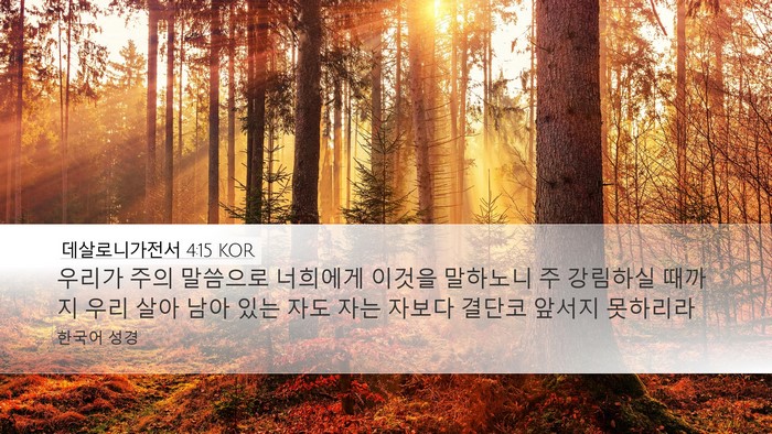 데살로니가전서 4:15 KOR Bible Verse Image