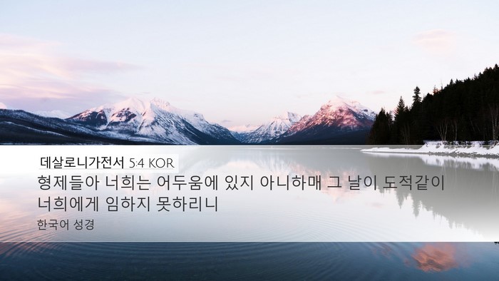 데살로니가전서 5:4 KOR Bible Verse Image
