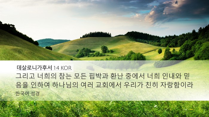데살로니가후서 1:4 KOR Bible Verse Image
