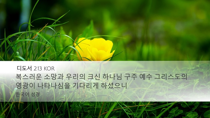 디도서 2:13 KOR Bible Verse Image