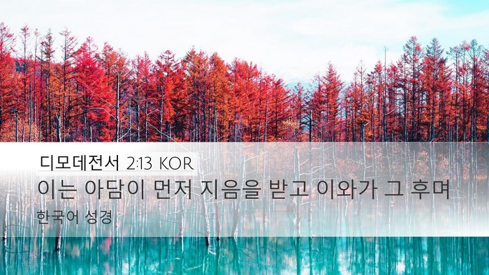 디모데전서 2:13 KOR Bible Verse Image